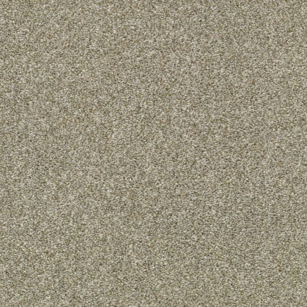 Shaw Floors Retail CABANA LIFE (T) - 00135 PEBBLE CREEK
