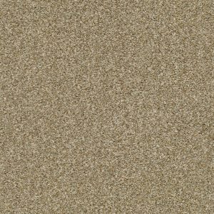 Shaw Floors Retail CABANA LIFE (T) - 00137 DRIED CLAY