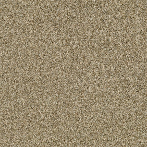 Shaw Floors Retail CABANA LIFE (T) - 00137 DRIED CLAY
