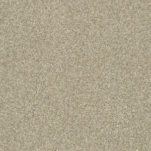 Shaw Floors Retail CABANA LIFE (T) - 00142 WHEAT FIELD