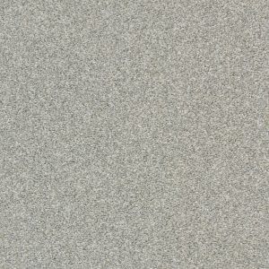Shaw Floors Retail CABANA LIFE (T) - 00540 FOG