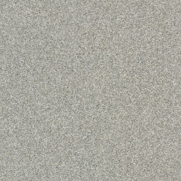 Shaw Floors Retail CABANA LIFE (T) - 00540 FOG