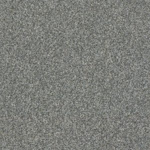 Shaw Floors Retail CABANA LIFE (T) - 00541 SHADOW