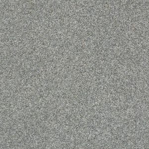 Shaw Floors Retail CABANA LIFE (T) - 00542 STAINLESS