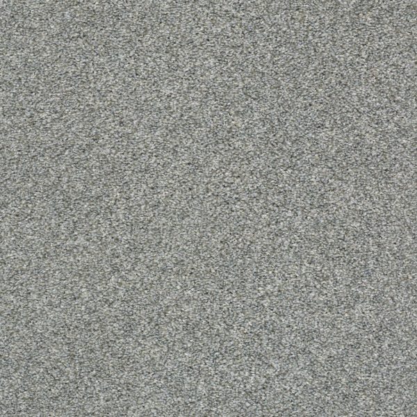 Shaw Floors Retail CABANA LIFE (T) - 00542 STAINLESS