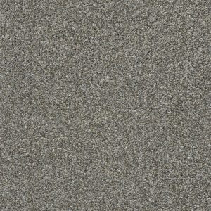 Shaw Floors Retail CABANA LIFE (T) - 00745 WALKING TRAIL