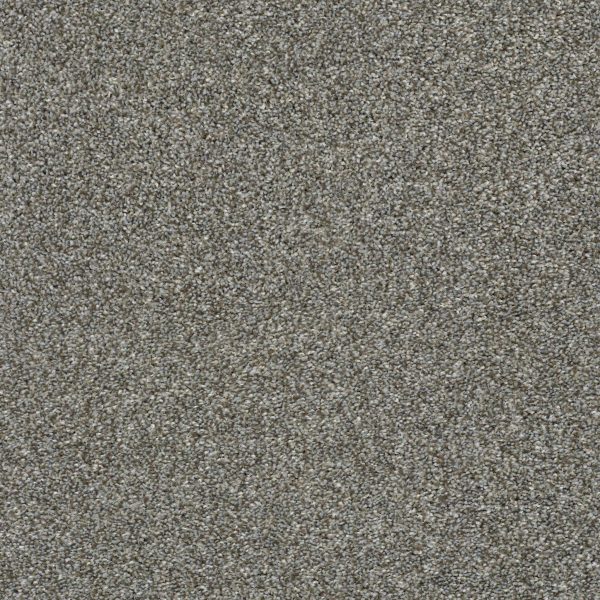 Shaw Floors Retail CABANA LIFE (T) - 00745 WALKING TRAIL