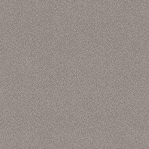 Shaw Floors Retail ATTAINABLE - 00120 SOFT FLEECE