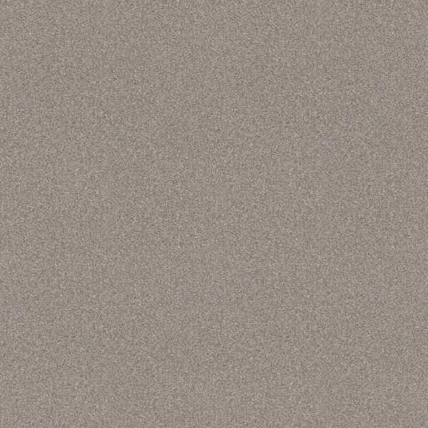 Shaw Floors Retail ATTAINABLE - 00120 SOFT FLEECE