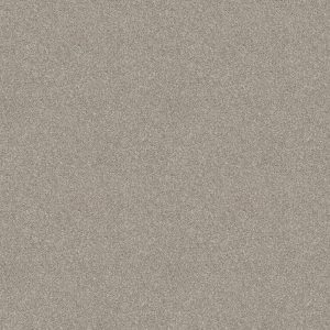 Shaw Floors Retail ATTAINABLE - 00121 DESERT LIGHT