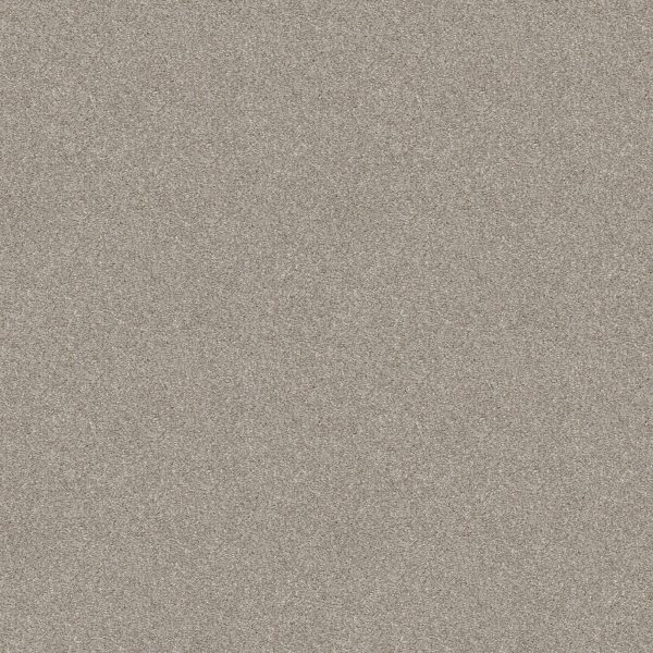 Shaw Floors Retail ATTAINABLE - 00121 DESERT LIGHT