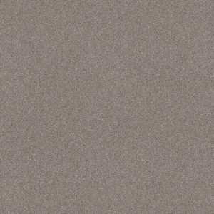 Shaw Floors Retail ATTAINABLE - 00122 CLAY