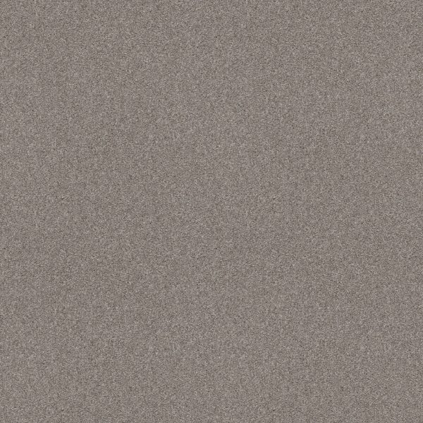 Shaw Floors Retail ATTAINABLE - 00122 CLAY