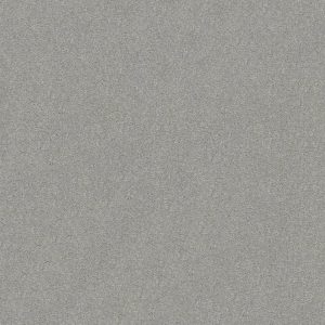 Shaw Floors Retail ATTAINABLE - 00500 PLATINUM