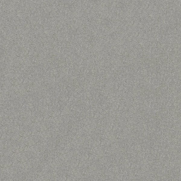 Shaw Floors Retail ATTAINABLE - 00500 PLATINUM