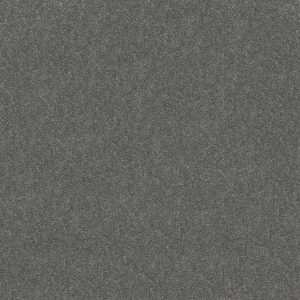 Shaw Floors Retail ATTAINABLE - 00501 SLATE