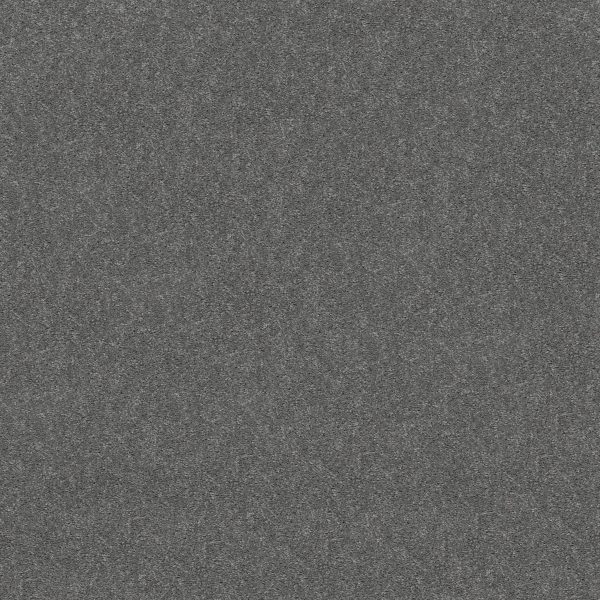 Shaw Floors Retail ATTAINABLE - 00501 SLATE