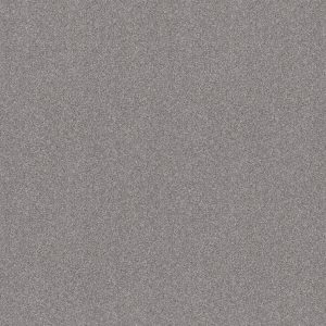 Shaw Floors Retail ATTAINABLE - 00520 STERLING