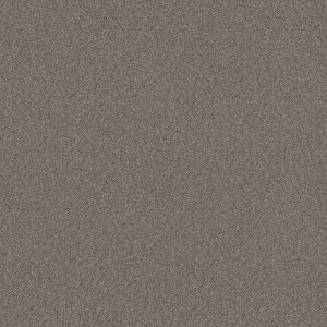 Shaw Floors Retail ATTAINABLE - 00521 ARCTIC SHADOW
