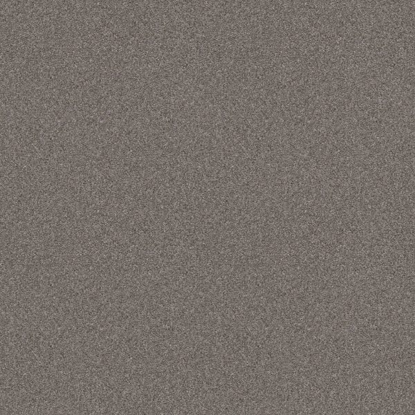 Shaw Floors Retail ATTAINABLE - 00521 ARCTIC SHADOW