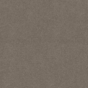 Shaw Floors Retail ATTAINABLE - 00700 SMOOTH TAUPE