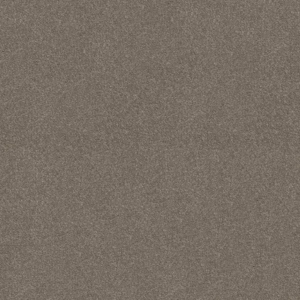 Shaw Floors Retail ATTAINABLE - 00700 SMOOTH TAUPE