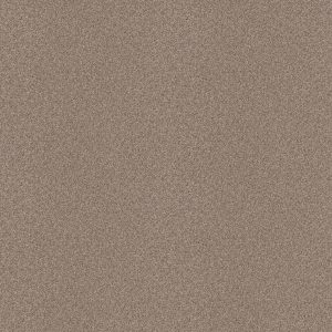 Shaw Floors Retail ATTAINABLE - 00720 GRECIAN TAN