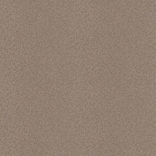 Shaw Floors Retail ATTAINABLE - 00720 GRECIAN TAN