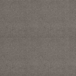 Shaw Floors Retail ATTAINABLE - 00721 CEDAR RIDGE