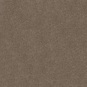 Shaw Floors Retail ATTAINABLE - 00722 FOX HOLLOW