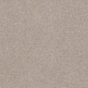 Shaw Floors Retail MOMENTUM I - 00102 BOUTIQUE