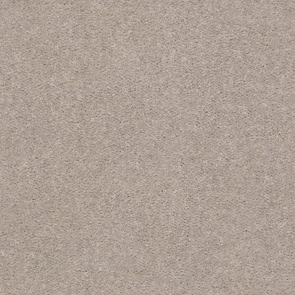 Shaw Floors Retail MOMENTUM I - 00102 BOUTIQUE