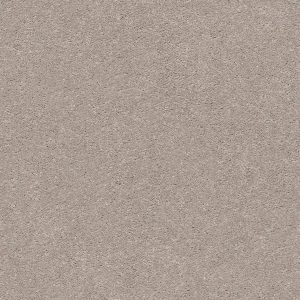 Shaw Floors Retail MOMENTUM II - 00102 BOUTIQUE