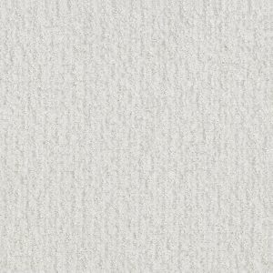 Shaw Floors Retail EMERGENCE - 00100 SUPER FINE