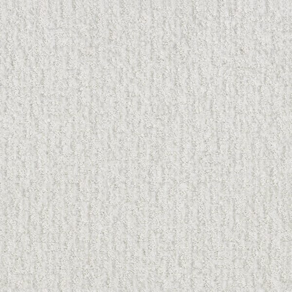 Shaw Floors Retail EMERGENCE - 00100 SUPER FINE