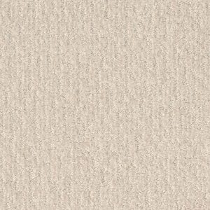 Shaw Floors Retail EMERGENCE - 00103 SNOW FALL