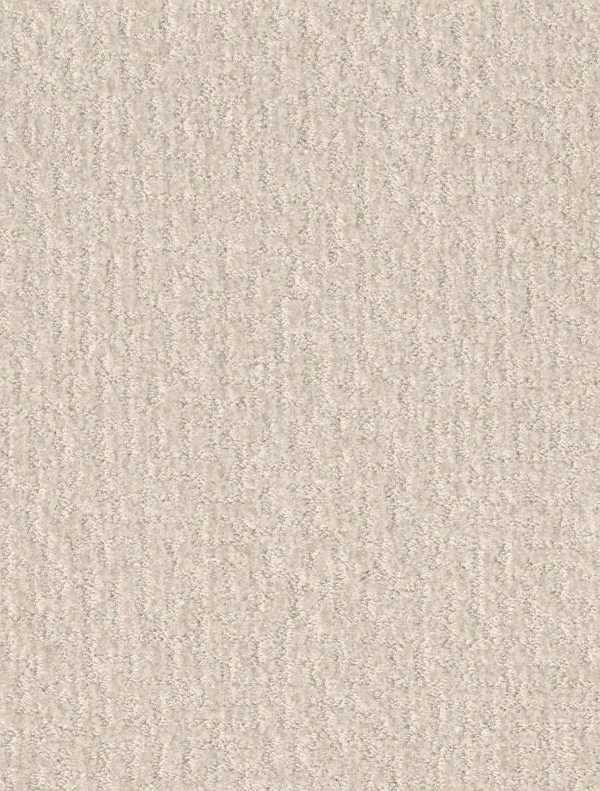 Shaw Floors Retail EMERGENCE - 00103 SNOW FALL
