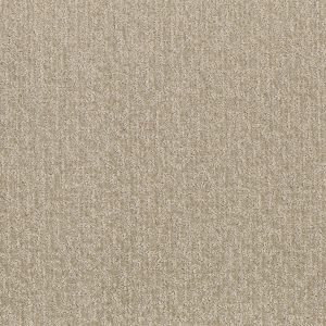 Shaw Floors Retail EMERGENCE - 00110 EGGSHELL
