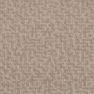 Shaw Floors Retail EMERGENCE - 00105 TOAST