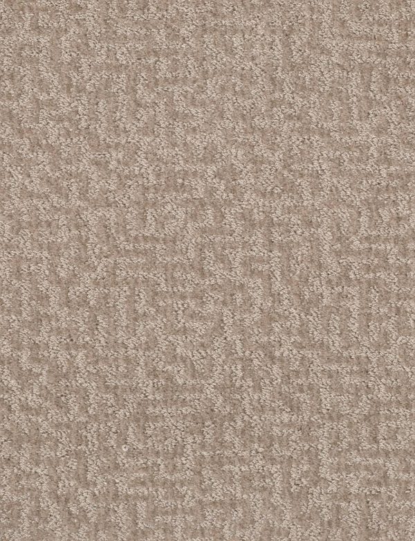 Shaw Floors Retail EMERGENCE - 00105 TOAST