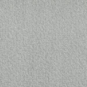 Shaw Floors Retail EMERGENCE - 00107 MIST