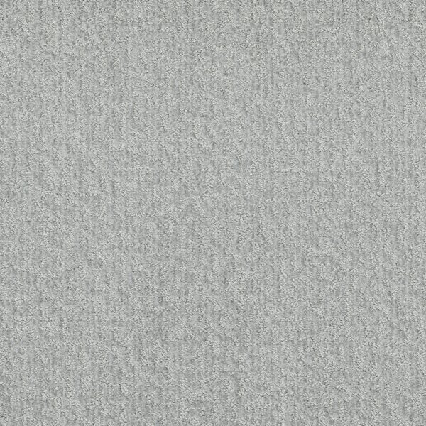 Shaw Floors Retail EMERGENCE - 00107 MIST
