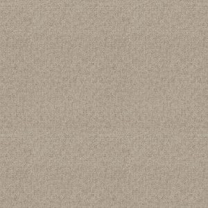 Shaw Floors Retail EMERGENCE - 00102 GOLD RUSH