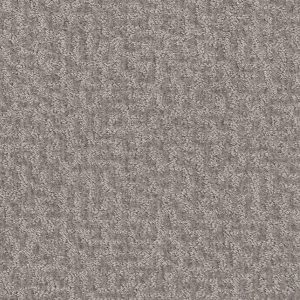 Shaw Floors Retail EMERGENCE - 00501 PLATINUM