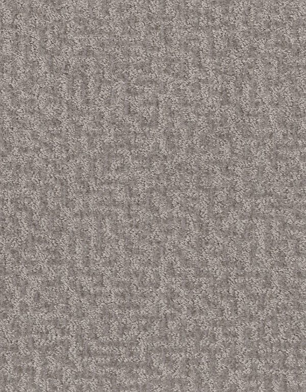 Shaw Floors Retail EMERGENCE - 00501 PLATINUM