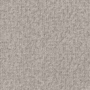 Shaw Floors Retail EMERGENCE - 00500 STERLING