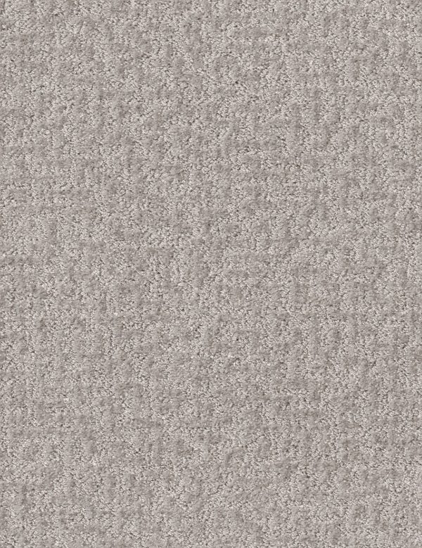 Shaw Floors Retail EMERGENCE - 00500 STERLING