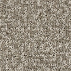 Shaw Floors Retail EMERGENCE - 00703 FLAX