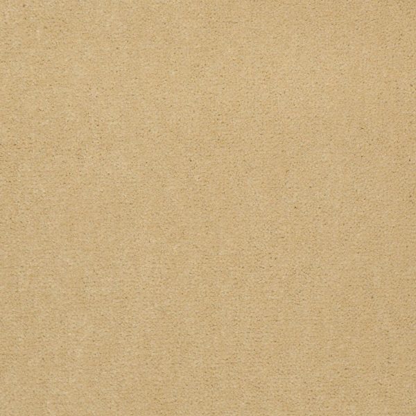Philadelphia Main St BAYTOWNE III 30 - 00148 CORN SILK