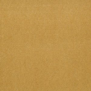 Philadelphia Main St BAYTOWNE III 36 - 00222 TUSCAN SUN